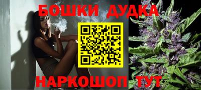 дмт Новозыбков