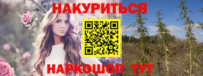 СК Обнинск